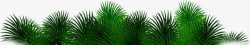 创意合成绿色的棕榈树树叶素材
