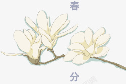 兰花图案砂锅春分节气装饰手绘鲜花插画高清图片