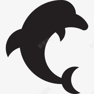 动物园野生跳跃的海豚图标图标