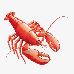 生腌龙虾手绘生鲜红色大龙虾美味食物矢量图高清图片