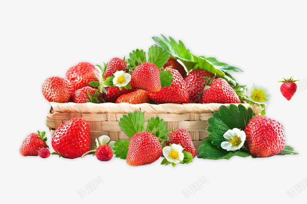 编制篮里的草莓png免抠素材_新图网 https://ixintu.com 水果 红色草莓 绿色叶子 编制篮 草莓花 里的草莓