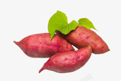 实物红薯实物食品三个红皮红薯叶子图高清图片