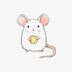 吃奶酪的小老鼠小白鼠高清图片