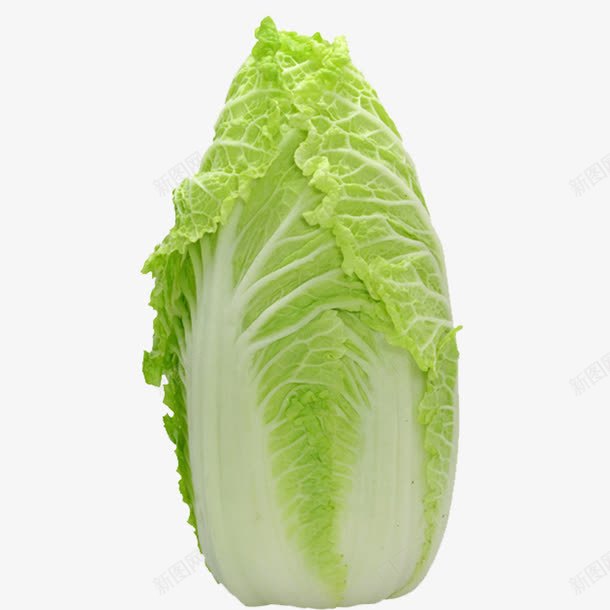 白菜png免抠素材_新图网 https://ixintu.com 健康蔬菜 摄影 植物 白菜 白菜图片免费下载 绿色蔬菜 美味蔬菜 营养蔬菜 蔬菜 蔬菜主题