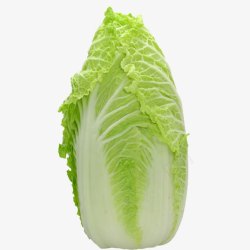 蔬菜主题白菜高清图片