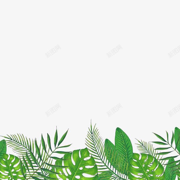 绿色热带植物边框装饰png免抠素材_新图网 https://ixintu.com 免抠图 效果图 植物 绿叶边框 装饰图 装饰画 边框