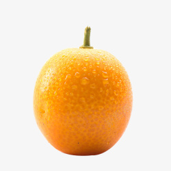 漂亮水果漂亮的小金橘高清图片
