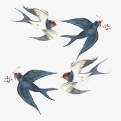 燕子图案手绘装饰燕子高清图片