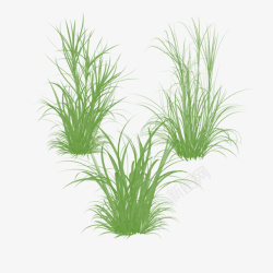 种草3种草的高清图片