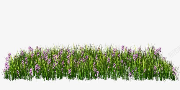紫色花草丛png免抠素材_新图网 https://ixintu.com 春天 紫色花 草丛 草地 草坪