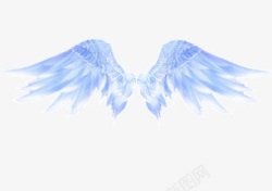 翅膀蝠翼膜飞翔天使之翼高清图片