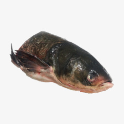 鱼食材产品实物新鲜花鲢鱼头高清图片