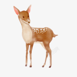 森林野生动物水彩手绘梅花鹿矢量图高清图片