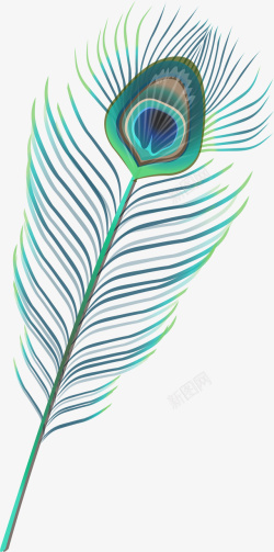孔雀羽毛手绘风格绿色美丽羽毛矢量图高清图片