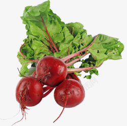 健康免费矢量素材蔬菜类甜菜高清图片