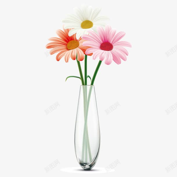 透明花瓶png免抠素材_新图网 https://ixintu.com 卡通 手绘 桔梗 橘色 白色 绿色 花朵 花瓶