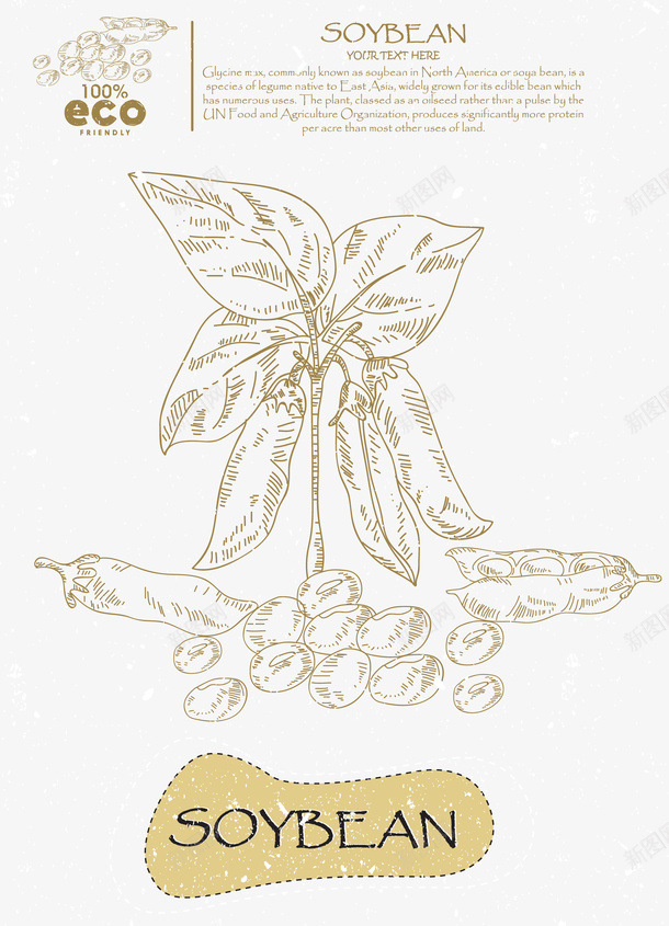 手绘荷兰豆矢量图图标ai_新图网 https://ixintu.com 叶子 图标 手绘 纹路 英文字母 荷兰豆 蔬菜 矢量图