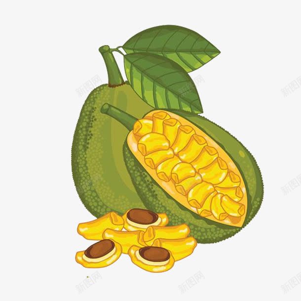 菠萝蜜png免抠素材_新图网 https://ixintu.com 卡通 卡通菠萝蜜素材 水果 美食 菠萝蜜果肉