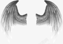 黑暗背景恶魔的翅膀高清图片