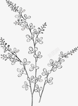 叶子线描手绘植物简笔画图案矢量图高清图片