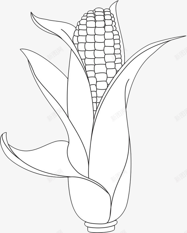 手绘玉米棒png免抠素材_新图网 https://ixintu.com 五谷杂粮 手绘 植物 玉米 玉米杆 玉米棒 线条 黑色