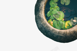 石缸中国古风石缸绿植2高清图片