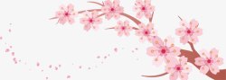 粉色的花樱桃树枝高清图片