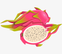 白心火龙果手绘插画卡通手绘水果装饰海报高清图片