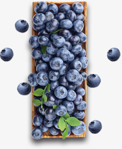 蓝莓叶子一盒子蓝莓实物高清图片