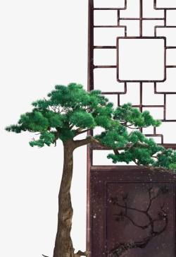 窗外的青松素材