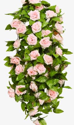绿叶花环粉色玫瑰婚礼花藤花环高清图片
