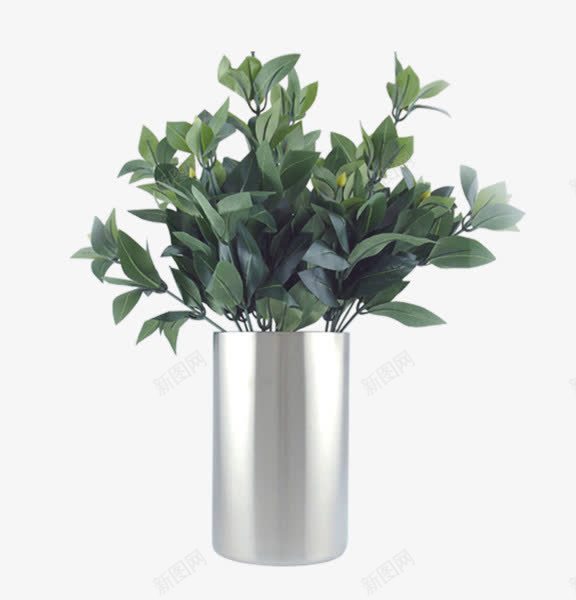 植物花瓶png免抠素材_新图网 https://ixintu.com 叶子 家居 家装 绿叶 绿色植物 花瓶