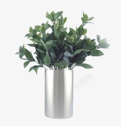 植物花瓶素材