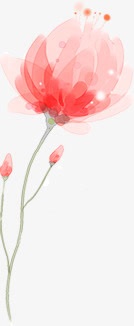 手绘唯美意境花朵植物png免抠素材_新图网 https://ixintu.com 意境 植物 花朵