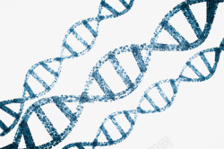 亲子鉴定藏青色dna遗传物质基因肽链脱高清图片