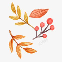 立秋丰收红果手绘枫叶果实案矢量图高清图片