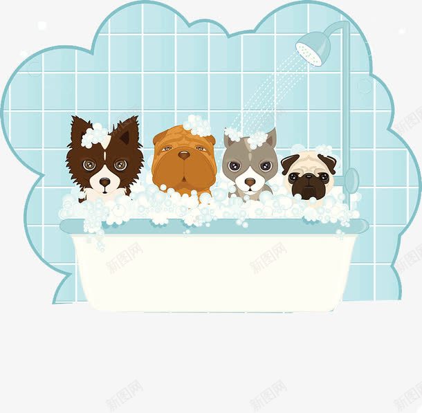 一起共同洗澡澡的动物们png免抠素材_新图网 https://ixintu.com 健康 宣传 扫尘 无污染 狗狗