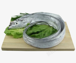 饭店食材菜板上的食材带鱼高清图片