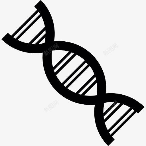 DNA链图标png_新图网 https://ixintu.com DNA 医学 基因 斯特兰德 染色体