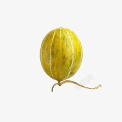 黄色香瓜Q字型的水果高清图片