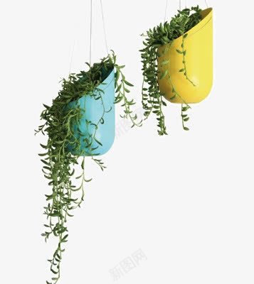 两盆绿色植物png免抠素材_新图网 https://ixintu.com 吊篮 园艺 环保 生机 绿色植物 蓝色 装饰 黄色