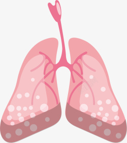 人体肺部矢量图素材