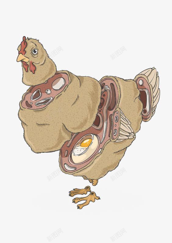 鸡的分解png免抠素材_新图网 https://ixintu.com 分解图 切面图 美食 鸡肉