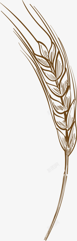 燕麦背景手绘麦子高清图片