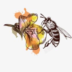 昆虫花朵矢量图蜜蜂采蜜高清图片