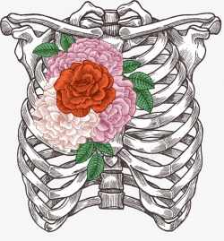 人体肋骨手绘彩色花卉骨架高清图片