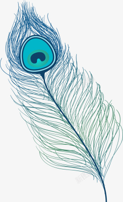 靓丽的羽毛冰晶蓝孔雀开屏羽毛高清图片