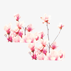 水彩梦幻风景免费下载春季踏青旅行花朵花卉玉兰花图案高清图片