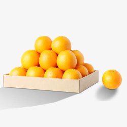 白色果盘黄色橙子高清图片