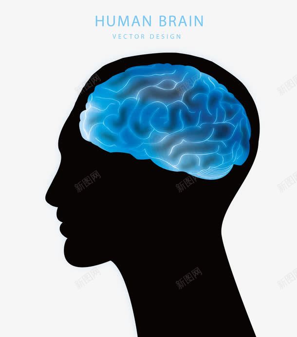 大脑png免抠素材_新图网 https://ixintu.com 人物 人物侧脸 人脑图 侧脸 剪影 大脑 头像 男侧脸黑色剪影 男子 蓝色大脑男子头像剪影矢量图 透视的大脑